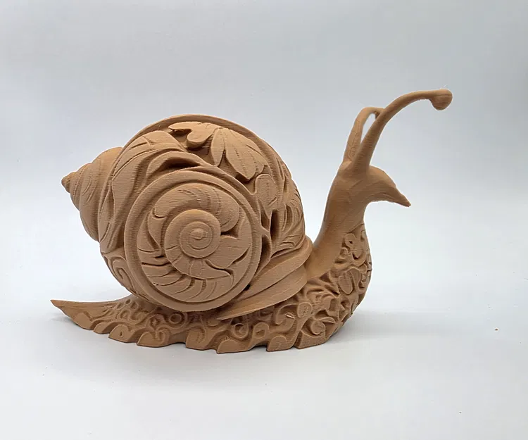 Ốc Sên Khắc Hoa Văn Tinh Xảo - Image 5
