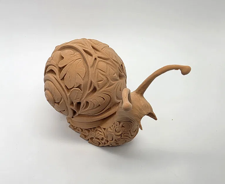 Ốc Sên Khắc Hoa Văn Tinh Xảo - Image 6