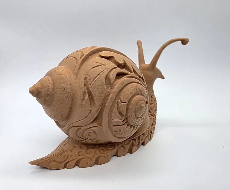 Ốc Sên Khắc Hoa Văn Tinh Xảo - Image 7