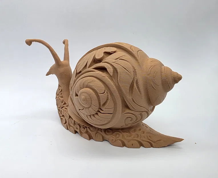 Ốc Sên Khắc Hoa Văn Tinh Xảo - Image 9