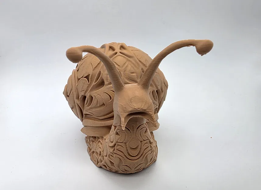 Ốc Sên Khắc Hoa Văn Tinh Xảo - Image 10