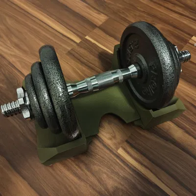 Giá đỡ/kê tạ tay (Dumbbell holder/support) chống lăn