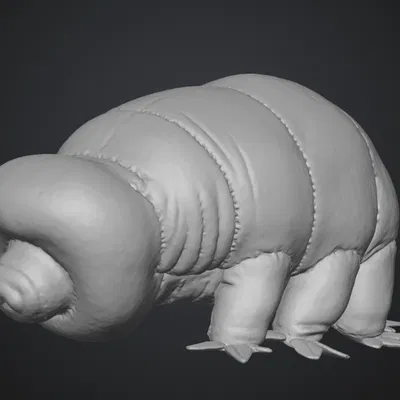 Tardigrade (Water Bear) – Gấu Nước siêu nhỏ