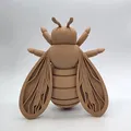 Ong Mật Gỗ (Wooden Honey Bee) - Thumbnail 3