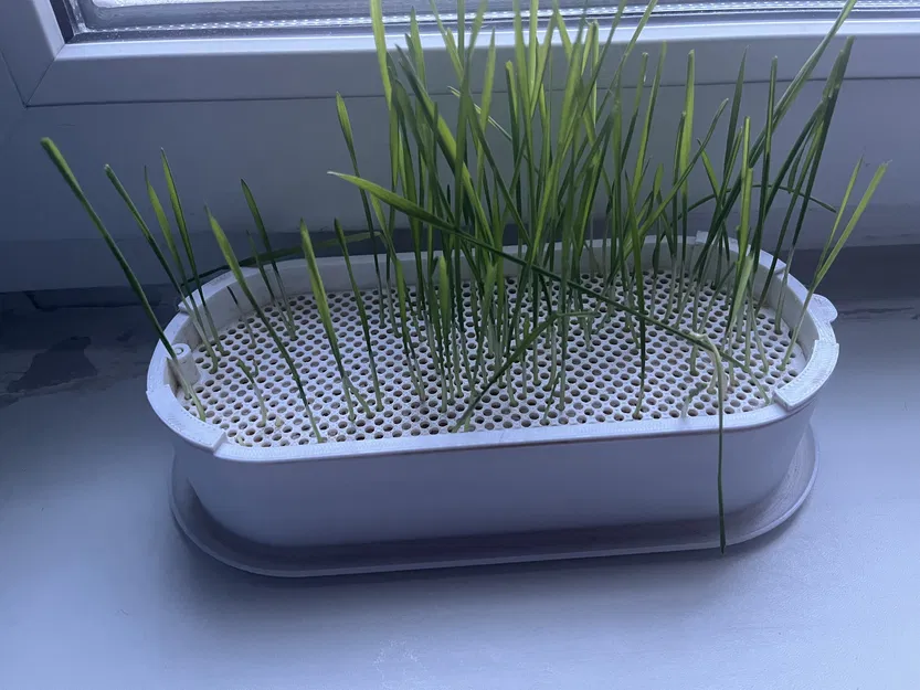 Chậu ươm mầm thủy canh (có lưới chống mèo phá) - Image 1