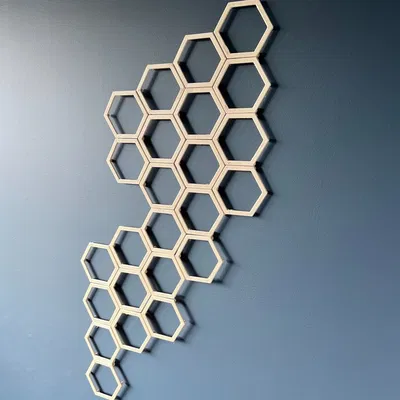 Giàn Leo Cây Lục Giác Lắp Ghép (Modular Hexagon Plant Trellis)