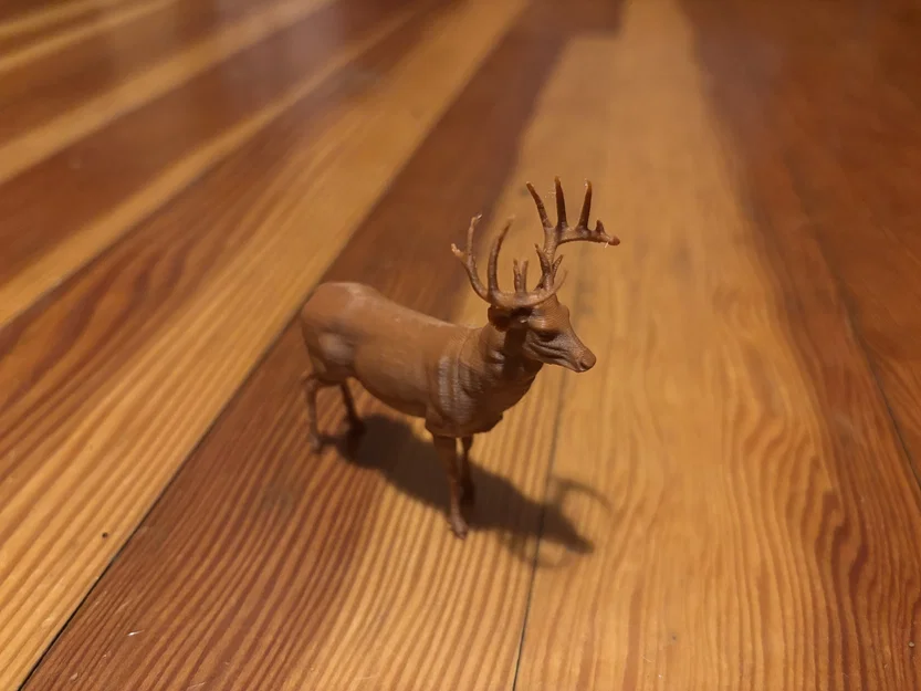 Hươu Đuôi Trắng Đực (Whitetail Buck Deer) (Animal) - Image 1