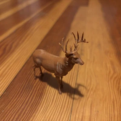Hươu Đuôi Trắng Đực (Whitetail Buck Deer) (Animal)