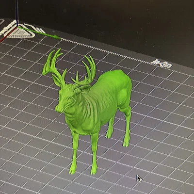 Hươu Đuôi Trắng Đực (Whitetail Buck Deer) (Animal)