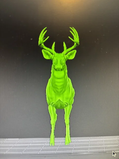 Hươu Đuôi Trắng Đực (Whitetail Buck Deer) (Animal) - Image 3