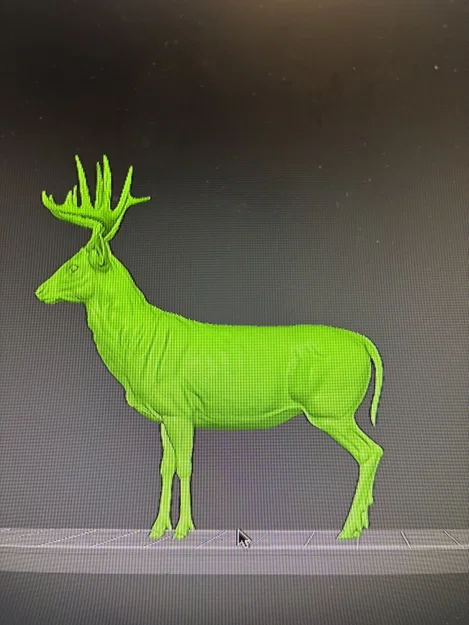 Hươu Đuôi Trắng Đực (Whitetail Buck Deer) (Animal) - Image 4