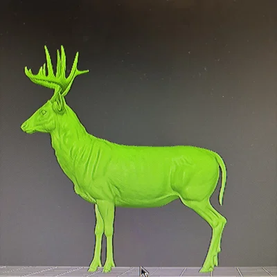 Hươu Đuôi Trắng Đực (Whitetail Buck Deer) (Animal)