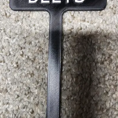 Cọc cắm vườn Beet (GARDEN STAKE BEETS)