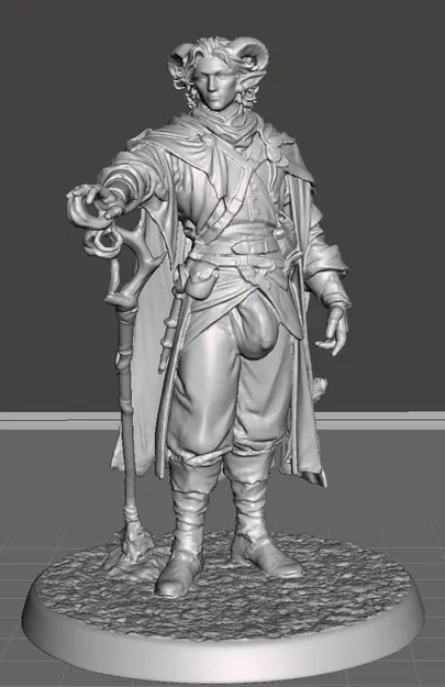 Phù thủy/Druid/Warlock Tiefling Nam với “Gói Hàng” Siêu To - Image 1