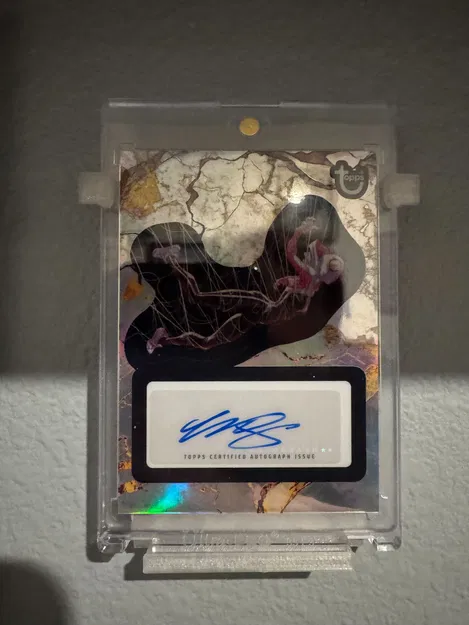 Giá Treo Tường Thẻ (Card Wall Mount) - Image 3