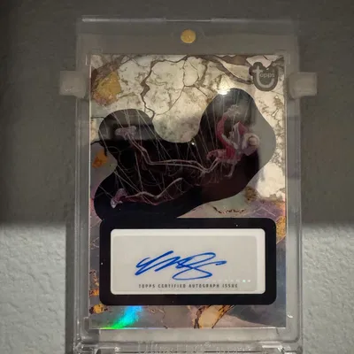 Giá Treo Tường Thẻ (Card Wall Mount)