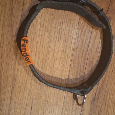 Thẻ tên/số điện thoại gắn vòng cổ chó (dạng sleeve)