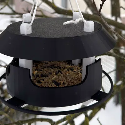 Máng Ăn Cho Chim Mùa Đông Treo Cành (Hanging Winter Bird Feeder)