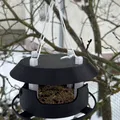 Máng Ăn Cho Chim Mùa Đông Treo Cành (Hanging Winter Bird Feeder) - Thumbnail 4