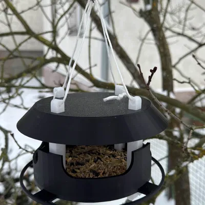 Máng Ăn Cho Chim Mùa Đông Treo Cành (Hanging Winter Bird Feeder)