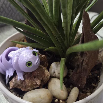 Móc khóa Tardigrade khớp nối – tương thích mắt thủy tinh 6mm