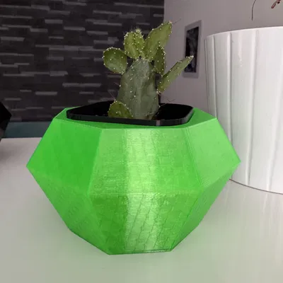Flowerpot - Chậu trồng xương rồng