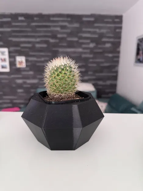 Flowerpot - Chậu trồng xương rồng - Image 2