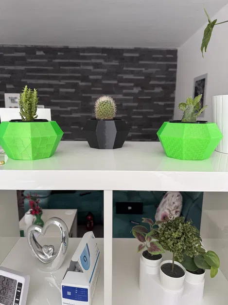 Flowerpot - Chậu trồng xương rồng - Image 3