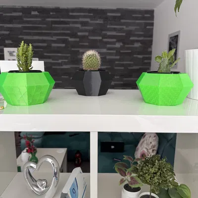 Flowerpot - Chậu trồng xương rồng