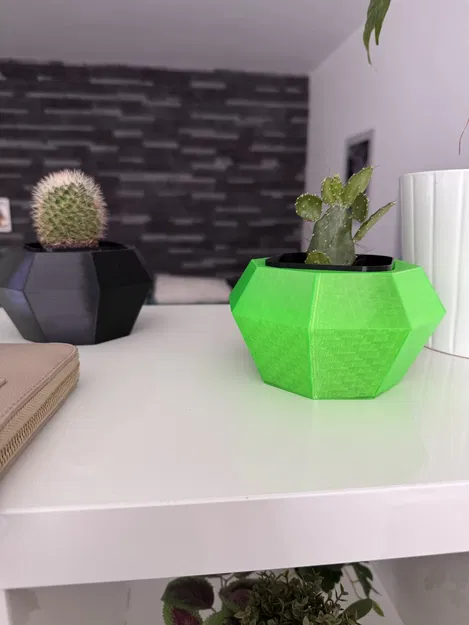 Flowerpot - Chậu trồng xương rồng - Image 4