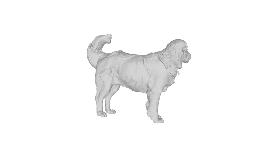 Mẫu 3D Golden Retriever - Image 3