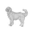 Mẫu 3D Golden Retriever - Thumbnail 4
