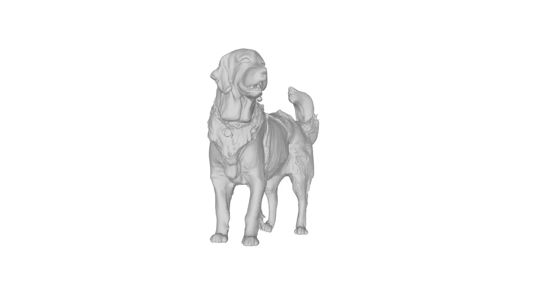 Mẫu 3D Golden Retriever - Image 5