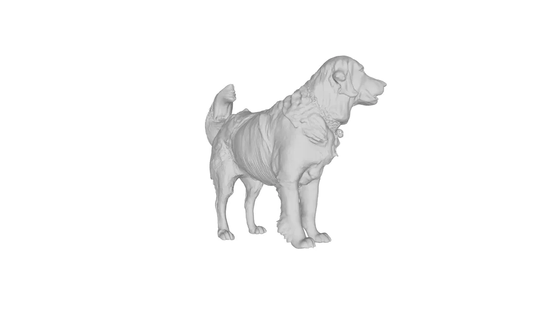 Mẫu 3D Golden Retriever - Image 6