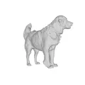 Mẫu 3D Golden Retriever - Thumbnail 6