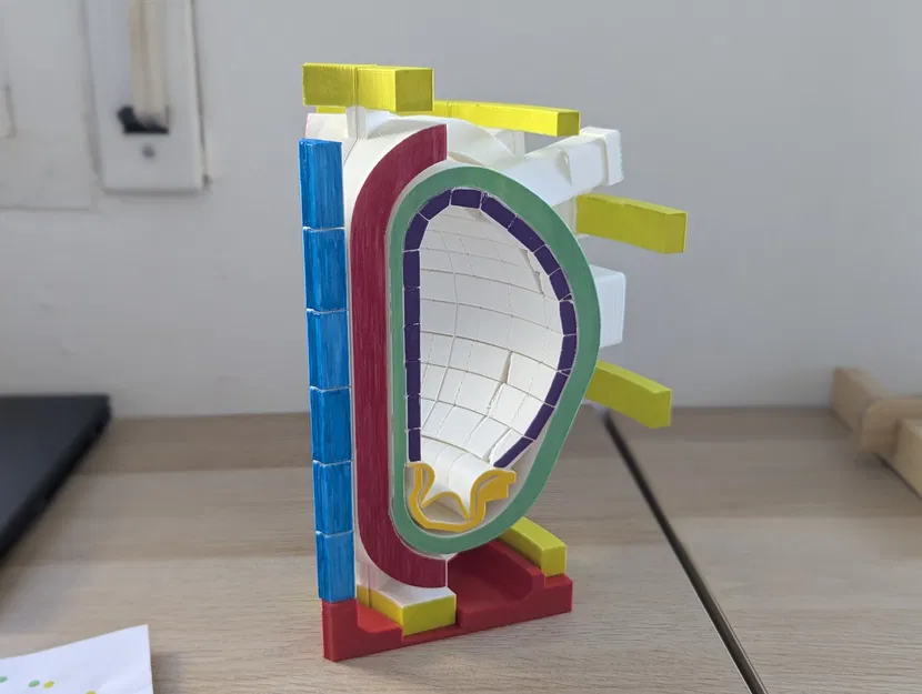 Lát cắt tokamak (tokamak slice) - Image 1