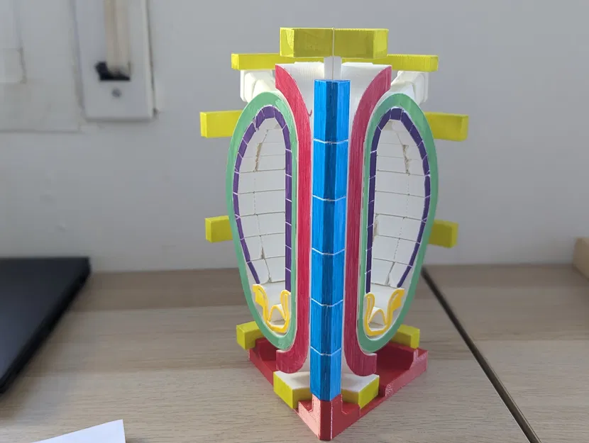 Lát cắt tokamak (tokamak slice) - Image 3