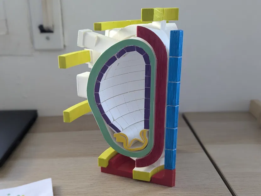 Lát cắt tokamak (tokamak slice) - Image 4