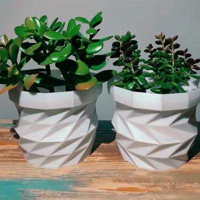Bộ Chậu/Planter Tam Giác (Triangulated Flower Pot / Planter Set)