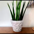 Bộ Chậu/Planter Tam Giác (Triangulated Flower Pot / Planter Set) - Thumbnail 2