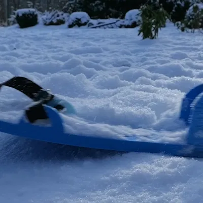 Mini Skis V1 (Ván trượt mini cho người lớn)