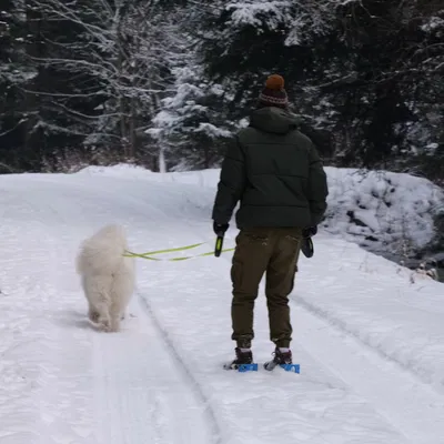 Mini Skis V1 (Ván trượt mini cho người lớn)
