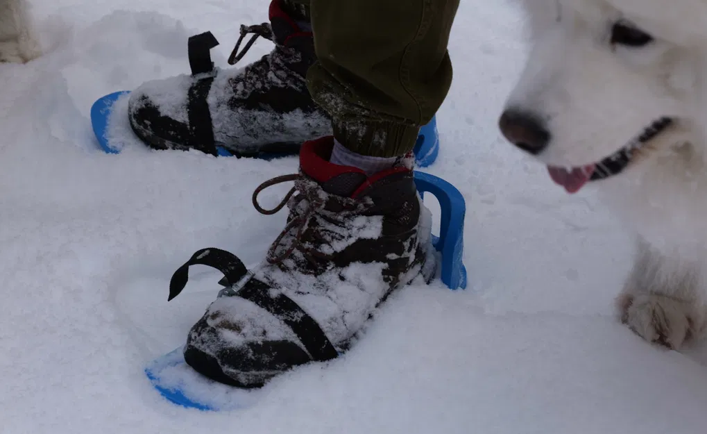 Mini Skis V1 (Ván trượt mini cho người lớn) - Image 6