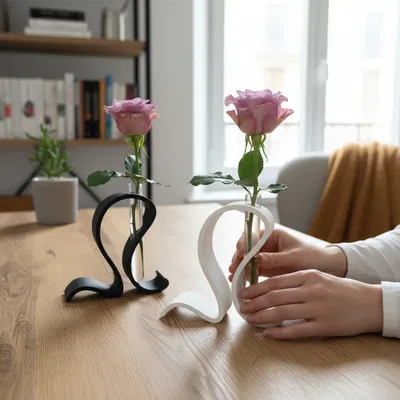 Bộ bình cắm hoa ống nghiệm đẹp (test tube vase set) kèm cylinder in được