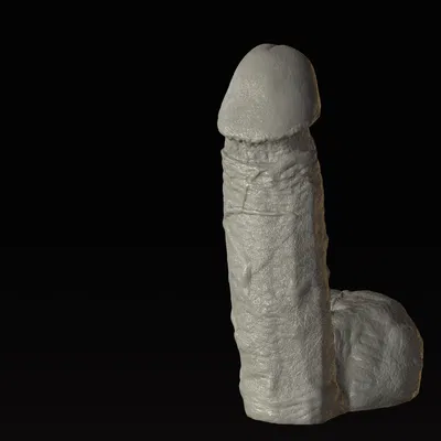 Mô hình dương vật chân thực high poly