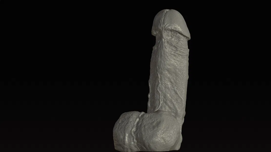 Mô hình dương vật chân thực high poly - Image 2