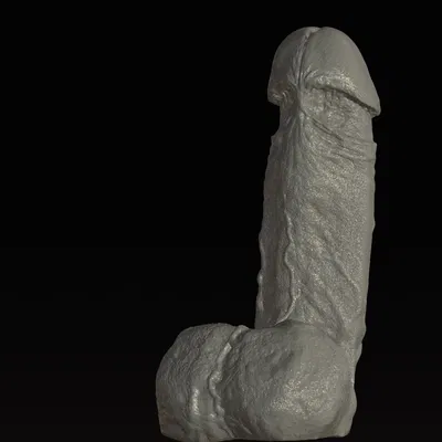 Mô hình dương vật chân thực high poly