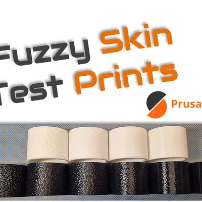 Test Print Fuzzy Skins