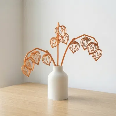 Winter Cherry - Trang trí bình hoa thực vật