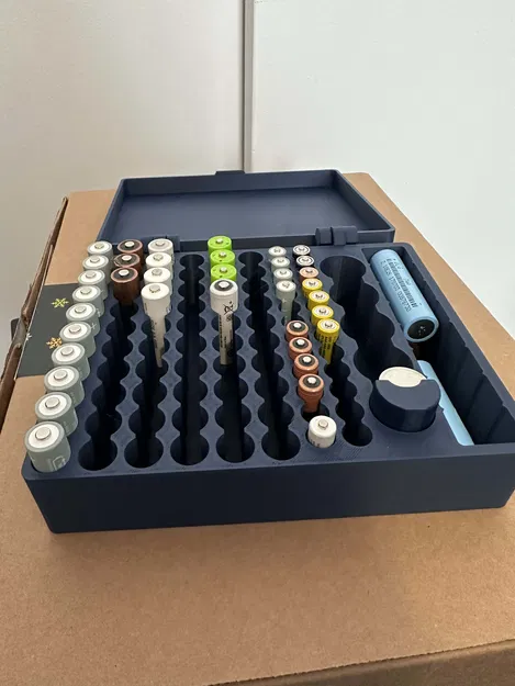 Miếng Insert chuyển khe pin C sang pin CR2032 cho Battery Box - Image 2